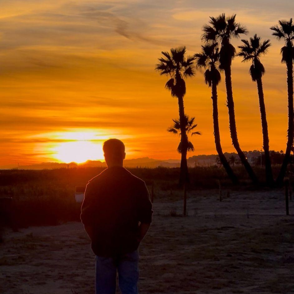 Illustration Langues